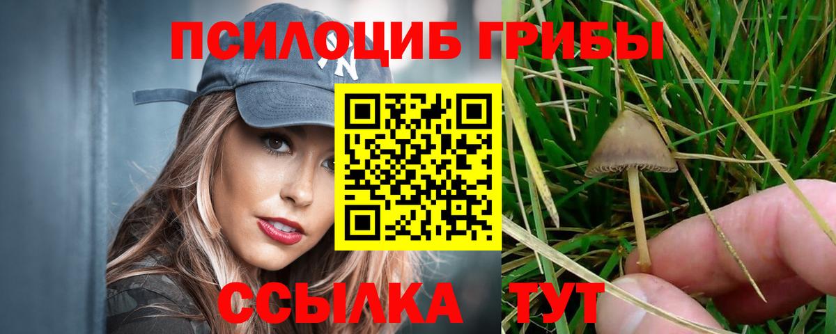 Псилоцибиновые грибы MAGIC MUSHROOMS Сертолово
