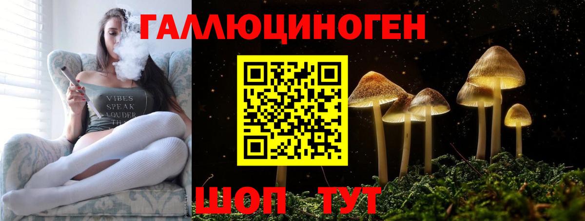 купить закладку  Псилоцибиновые грибы мицелий  Вход с VPN  Галлюциногенные грибы мухоморы  Сертолово 