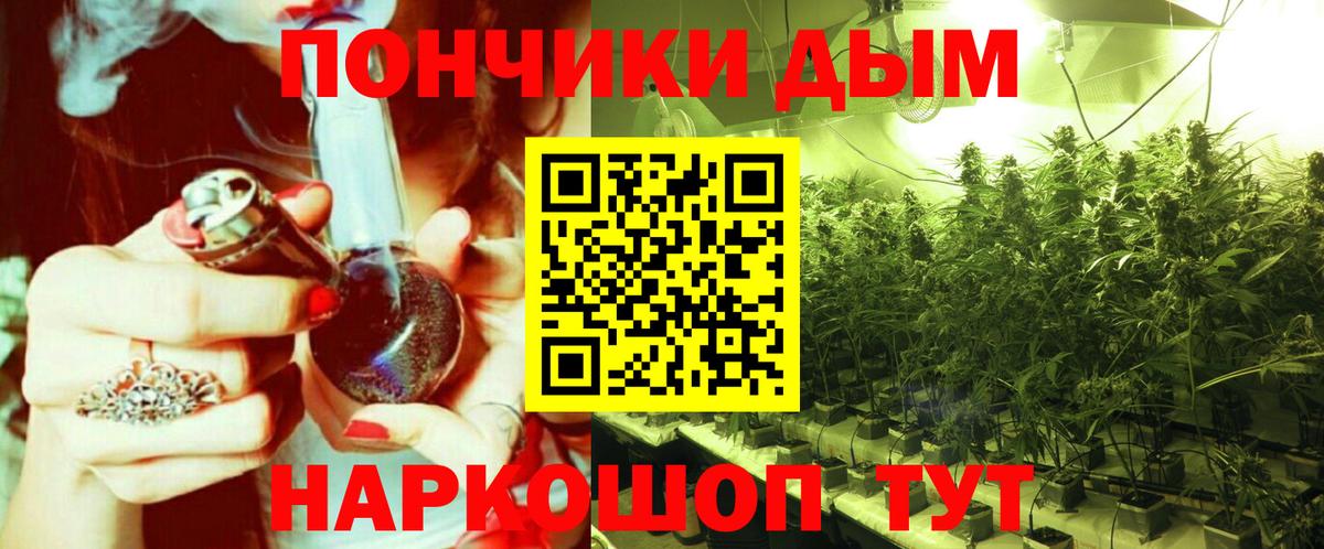 Шишки марихуана семена Сертолово